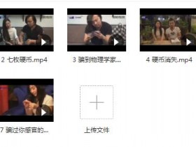 路易团队《最强约会魔术》完整版