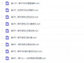 路易团队《聊法》完整版