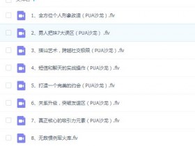 乐鱼:坏男孩学院VIP课程