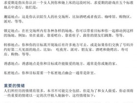 泡妞秘籍:迷男启示录