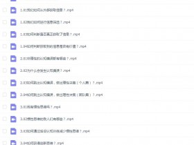 认知力:做迷茫时代的明白人