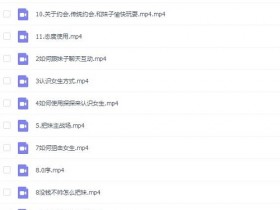 浪迹恋爱:帝王把妹 完整版