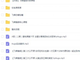 飞喵内部全集课程