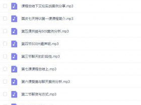 平衡团队 内部视频课程