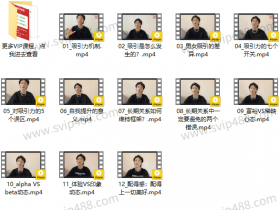 自我提升《打造男性吸引力:从Beta到Alpha》视频课程