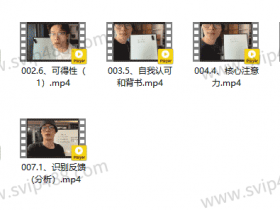 林老头一對一私教(预约终身制)视频课程