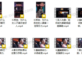 RSD泰勒《蓝图解码2.0重铸蓝图》视频课程