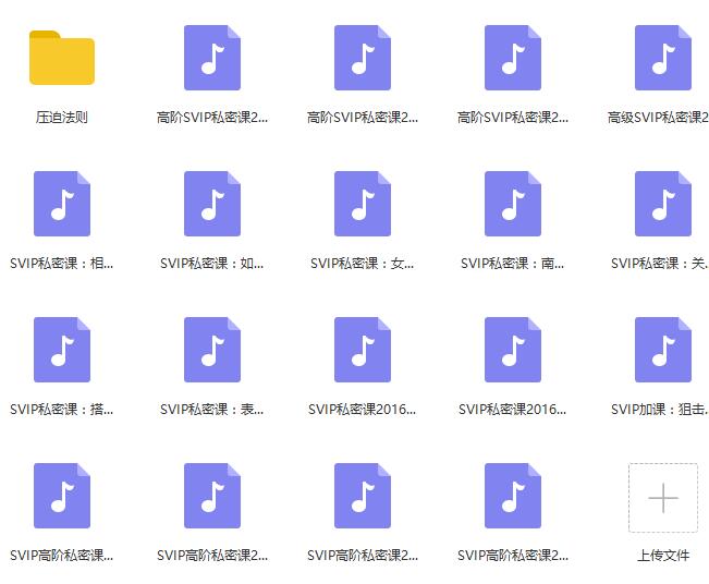 南风信仰《网络VIP课程》完整版