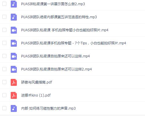 SIR恋爱团队 学习资料视频课程库