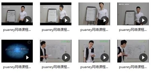 puaney倪《网络课程5.0属性》完整版