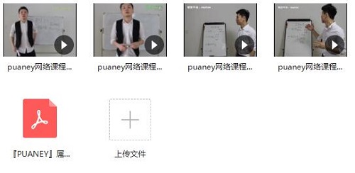 puaney倪《网络课程5.0属性》完整版