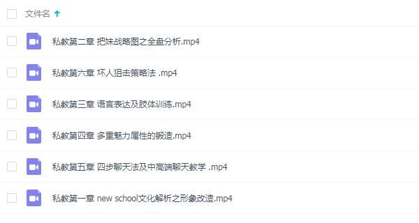 顽心《私教课程》完整版百度网盘下载