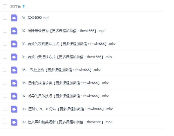 国外自然流大师todd全套完整版