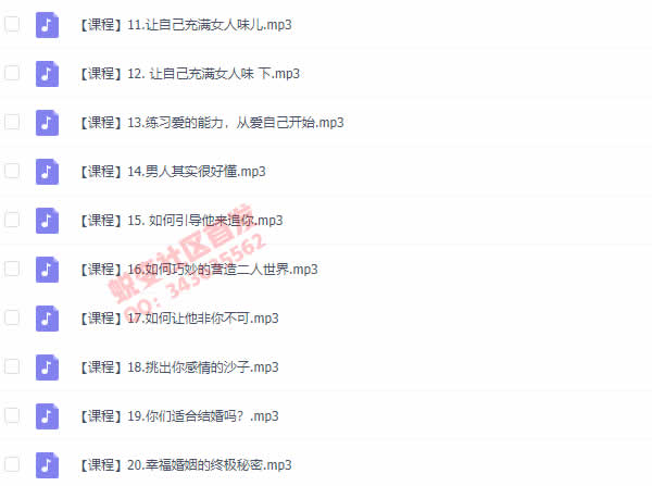 恋爱课程《拥有高品质婚恋的秘密》完整版