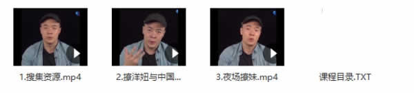 瑞恩团队全集版 内部VIP全系列课程