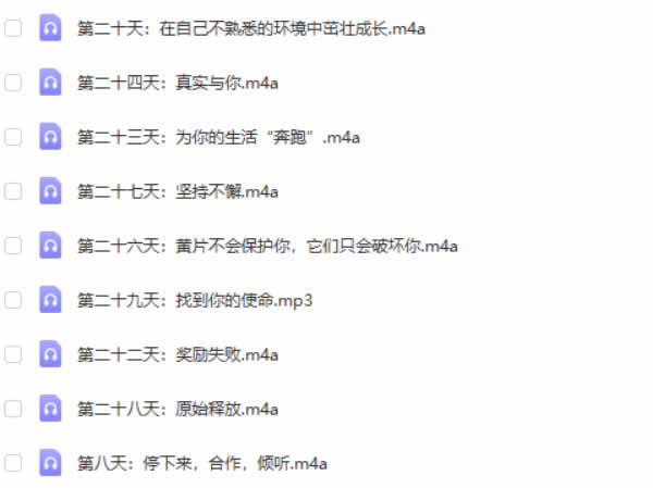 红药丸《男子气概31天》完整音频课