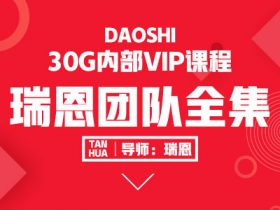 瑞恩团队全集版 内部VIP全系列课程