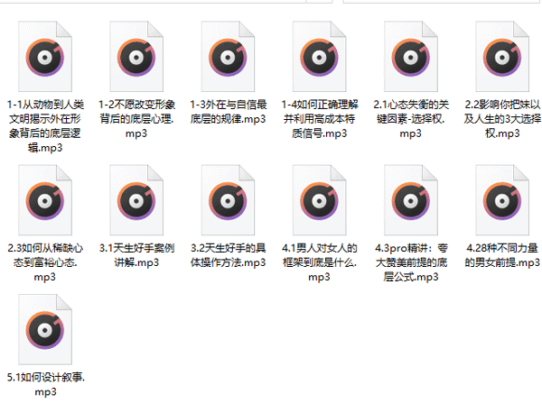 柯李思Chris《高阶技术 Pro》 百度网盘下载