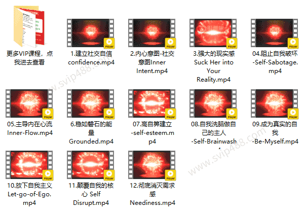 瑞恩Ryan《引燃雄心》基础版视频课程
