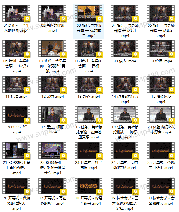 RSD麦迪森 老板BOSS 视频课程