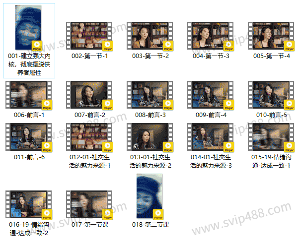 自我提升《供养者翻盘-强者框架课》视频课程