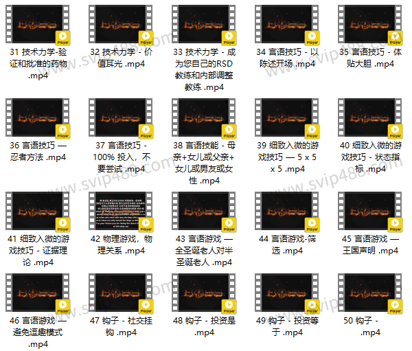 RSD麦迪森 老板BOSS 视频课程