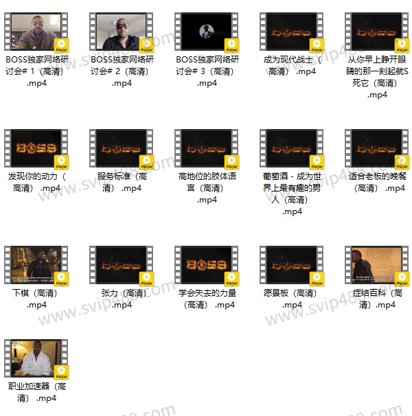 RSD麦迪森 老板BOSS 视频课程