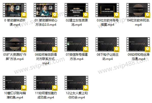 柯老师chris《智选伴侣：男人防止被归零》视频课程